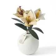 白い花瓶に挿したレザーのユリ